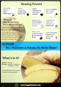 Ginger and garlic - ginger mini 