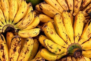 Chia Vanille Pudding - bananas