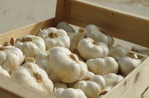 Ginger and garlic - garlic cloves