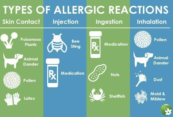 Allergy Chart