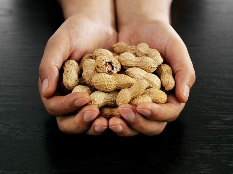 Peanut Allergy Relief