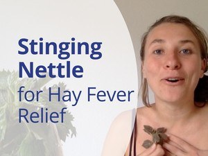 How to Relief Hay Fever with Stinging Nettle