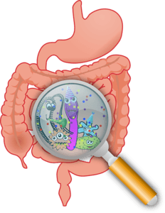 pathogens causes indigestion 