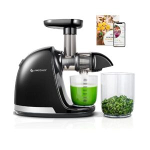 AMZCHEF Slow Juicer peggy schirmer shop