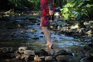 H. Pylori Treatment - nature barefoot