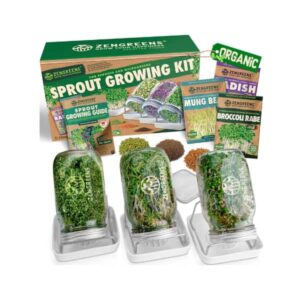 Micro Greens Sprouting Set